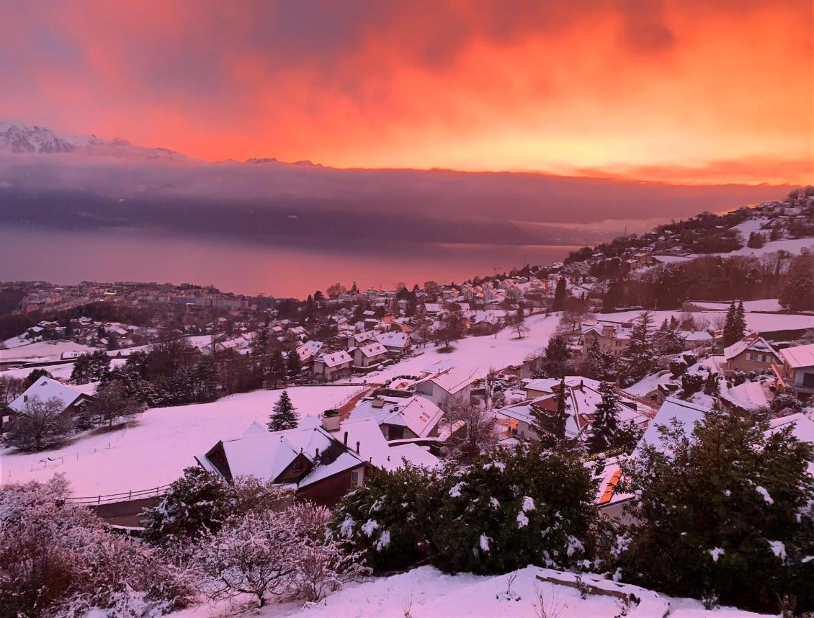 Appartement Moderne Avec Vue Panoramique A Jongny Proche De Montreux Exterior photo